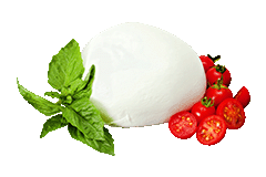 Mozzarella