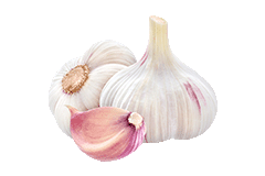 Knoblauch
